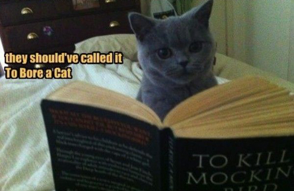 Click Here to see what's hott!