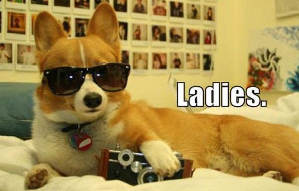 Click Here to see what's hott!