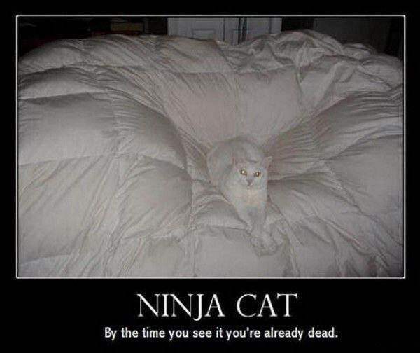 Click Here to see what's hott!