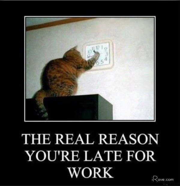 Click Here to see what's hott!